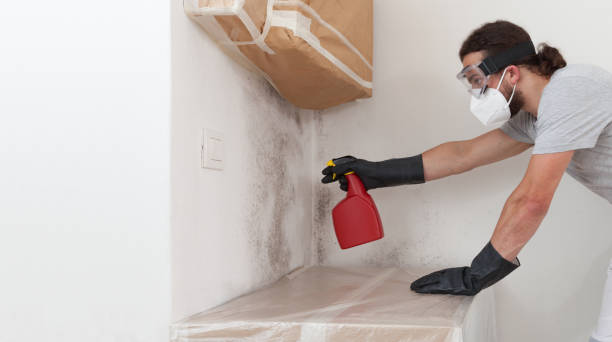 Professional Bathroom Mold Removal technician working in Boiling Springs, PA