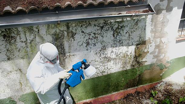 Top rated local Bathroom Mold Removal specialists in Boiling Springs, PA